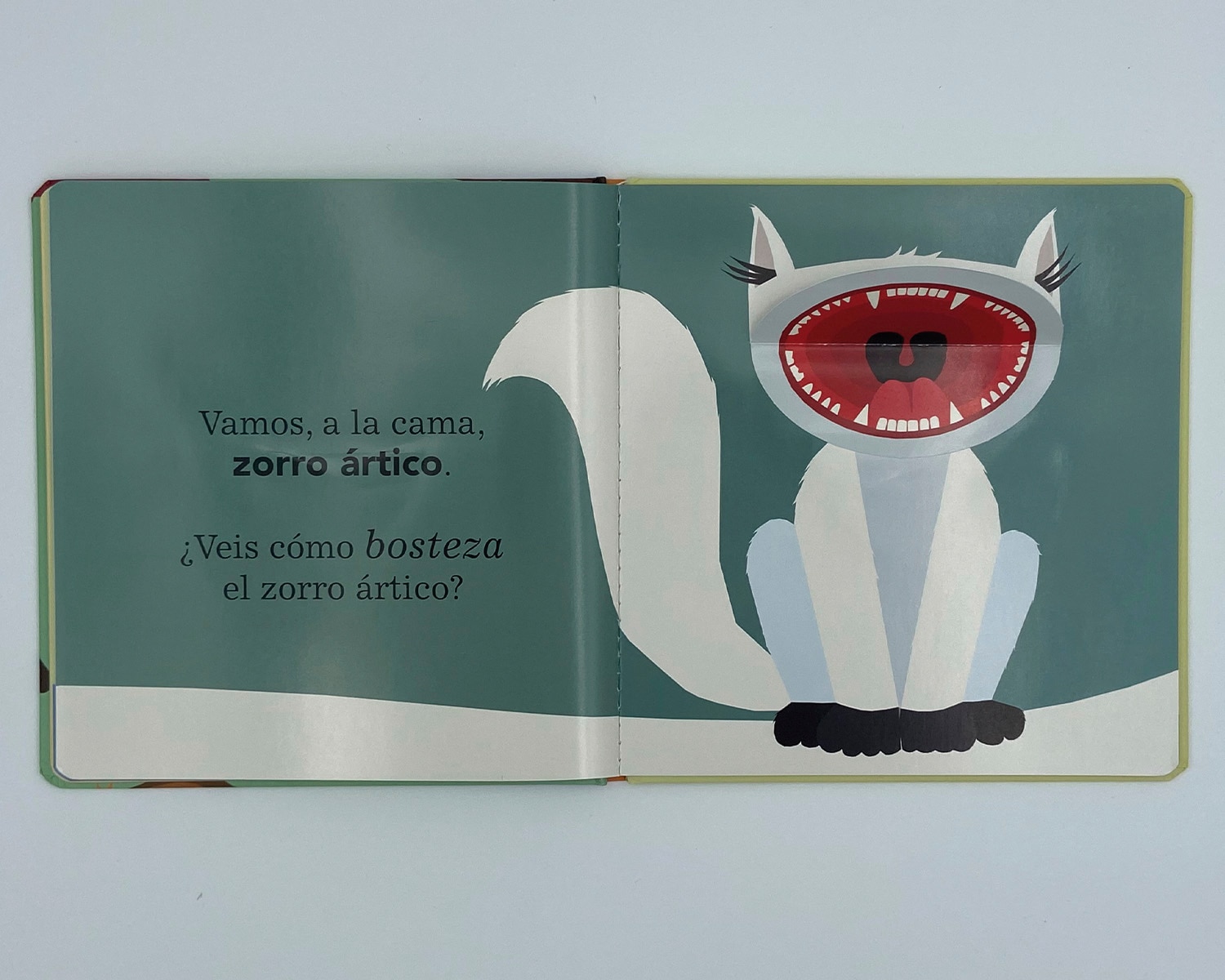 Todos bostezan (Tapa dura) 7