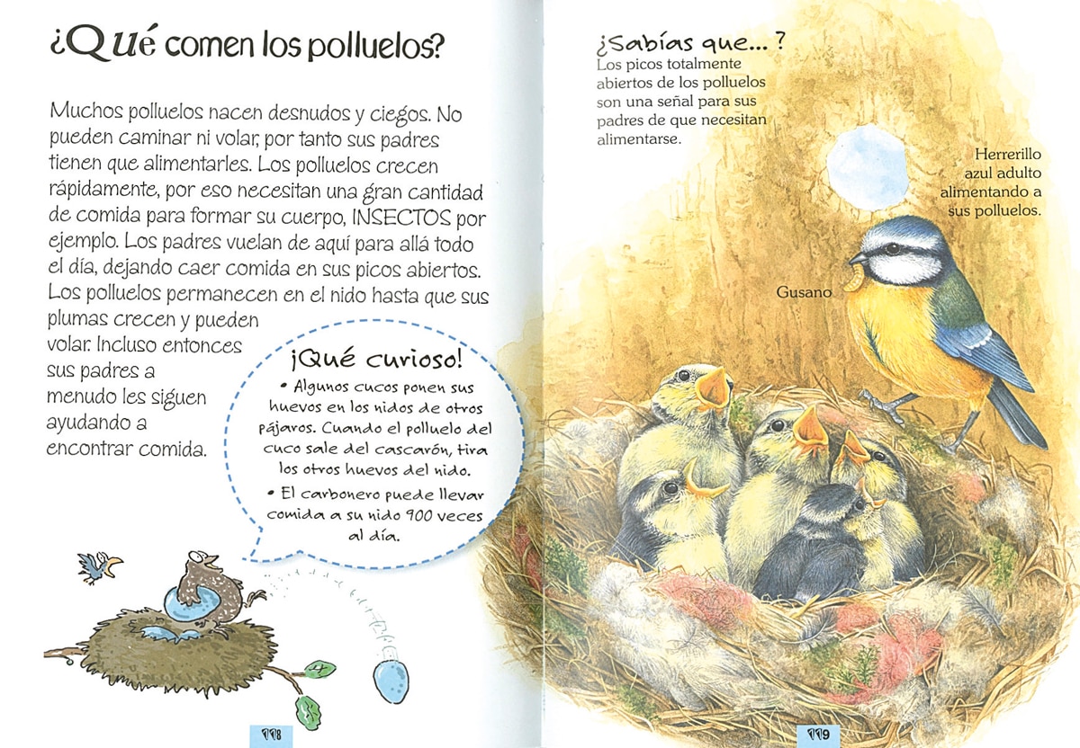1000 preguntas y respuestas de los animales (Tapa dura) 2