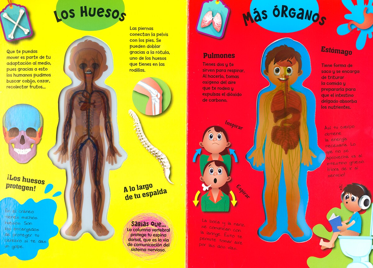 El cuerpo humano¡Echa un vistazo a tu interior (Capa dura) 2