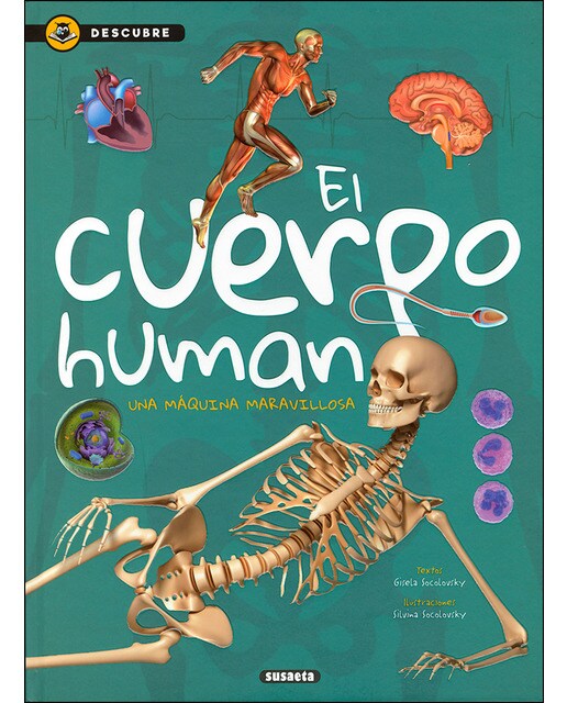 El cuerpo humano(Tapa dura) 1