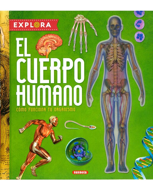 El cuerpo humano
