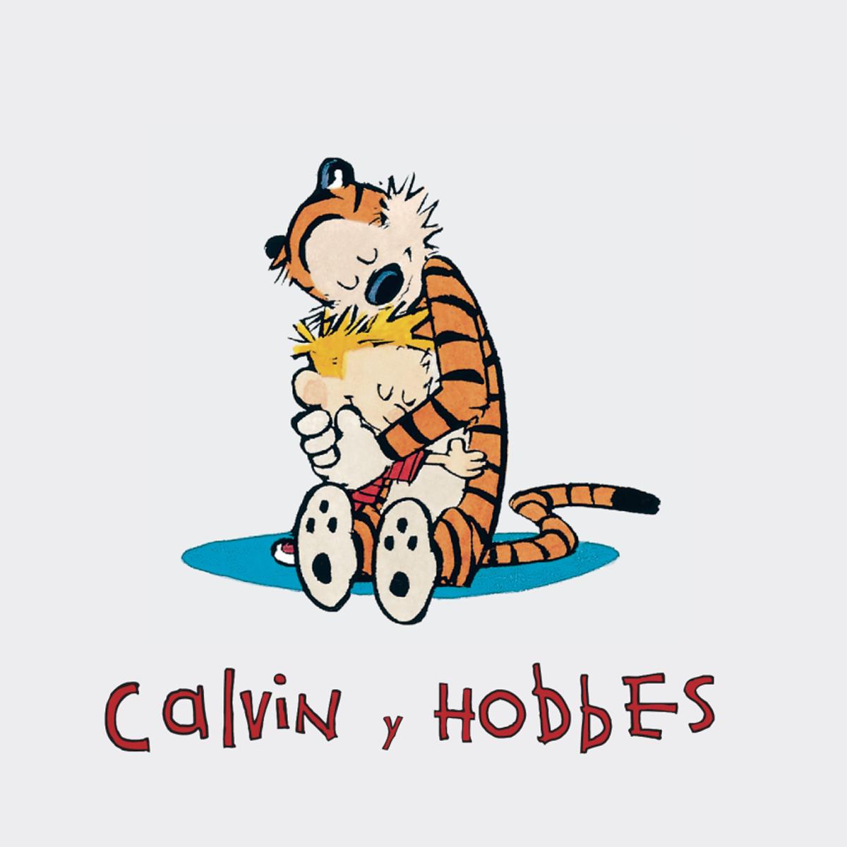 Calvin y Hobbes 1 - En todas partes hay tesoros  (Tapa dura) 2