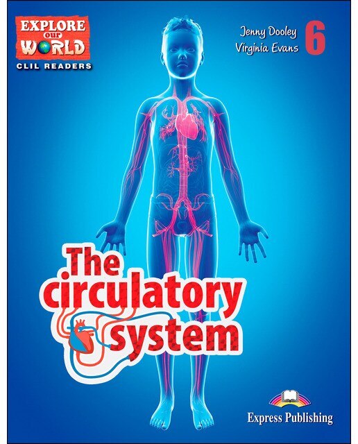 THE CIRCULATORY SYSTEM (Capa mole) 1