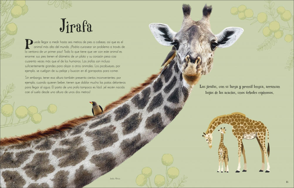 Antología de animales extraordinarios (Planeta curioso)  (Tapa dura) 4