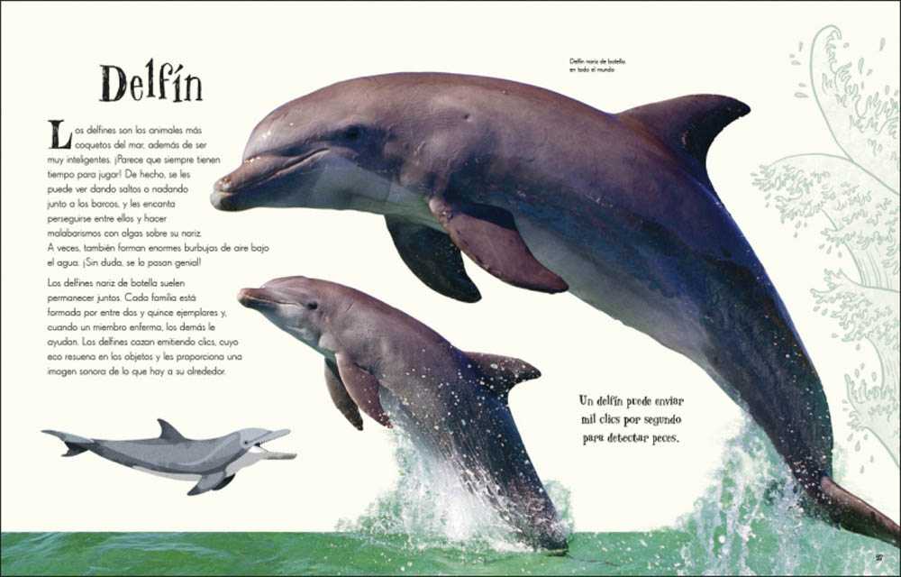 Antología de animales extraordinarios (Planeta curioso)  (Tapa dura) 6