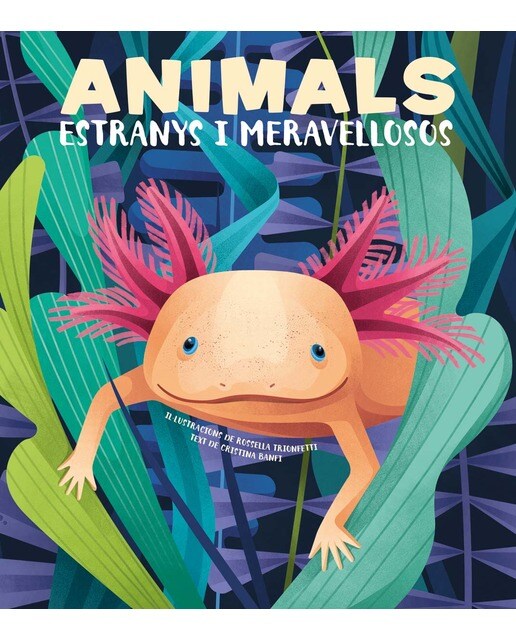 ANIMALS EXTRANYS I MERAVELLOSOS (VVKIDS) (Capa dura) 1