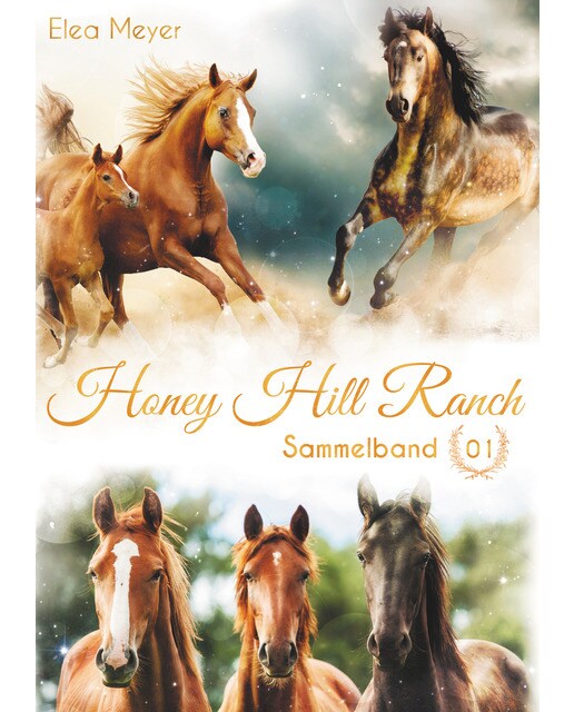 Honey Hill Ranch: Sammelband 1 (Capa dura) 1