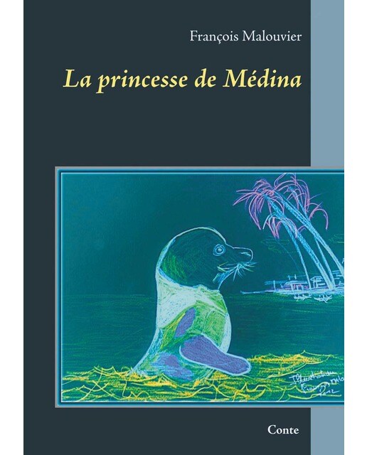 La princesse de médina(Tapa blanda) 1