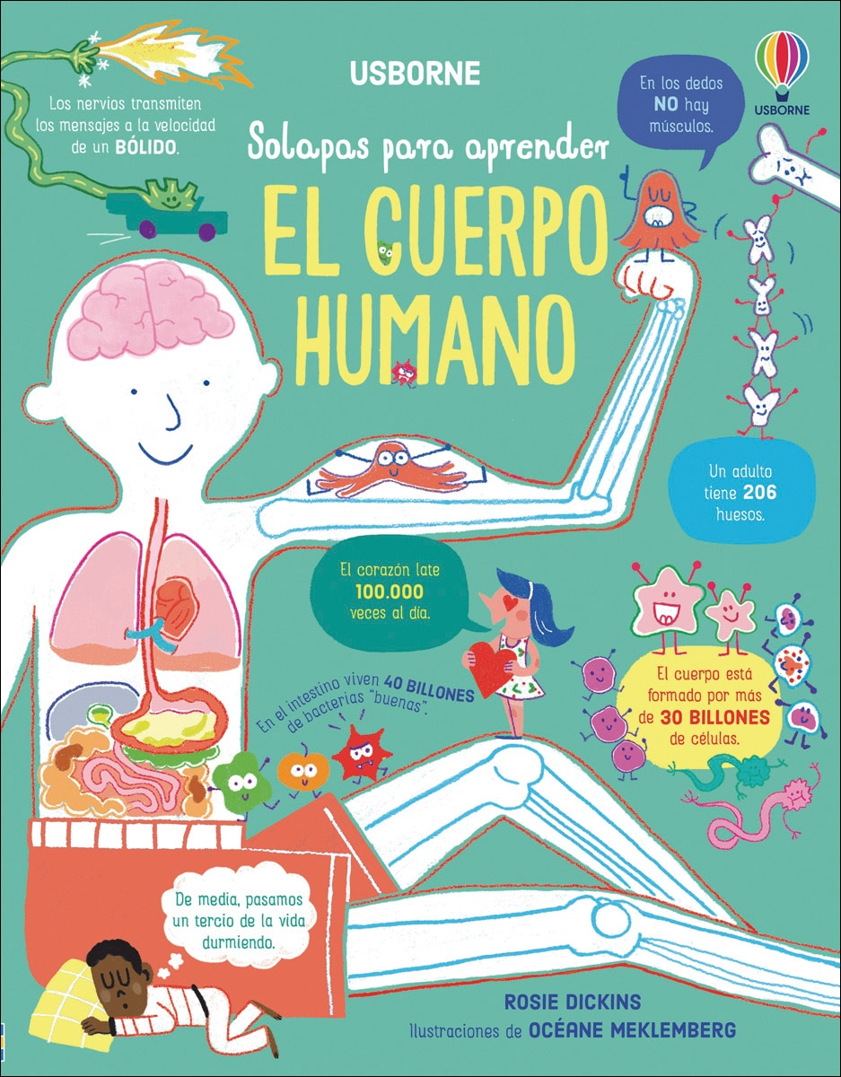 Imagen 0 de El cuerpo humano