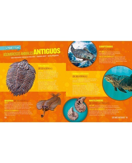 Imagen 5 de Dino récords: ¡Las criaturas prehistóricas más asombrosas que han vivido jamás en la tierra!  (Tapa dura)