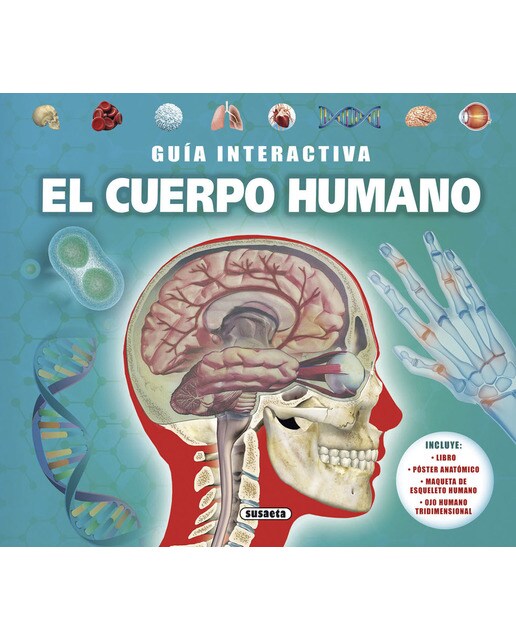 El cuerpo humano