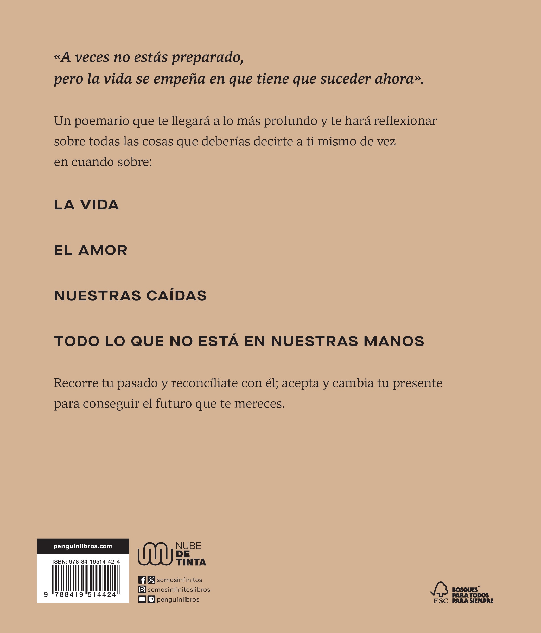 Todo lo que le diría a mi yo del pasado (Capa dura) 2