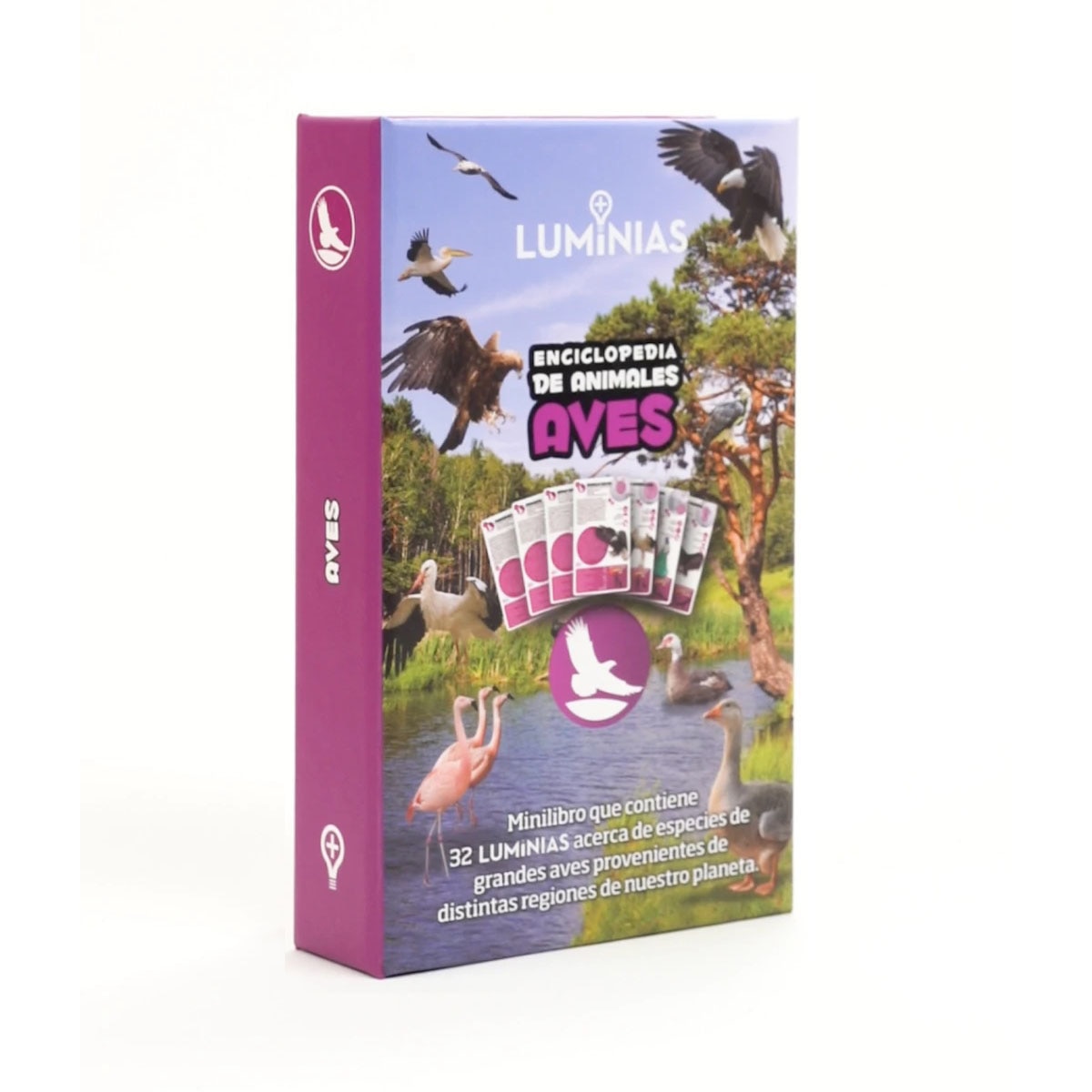 Imagem 0 de Enciclopedia de aves (estuche con 32 cartas)