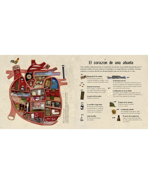 Abuelas. Manual de instrucciones (Tapa dura) 6