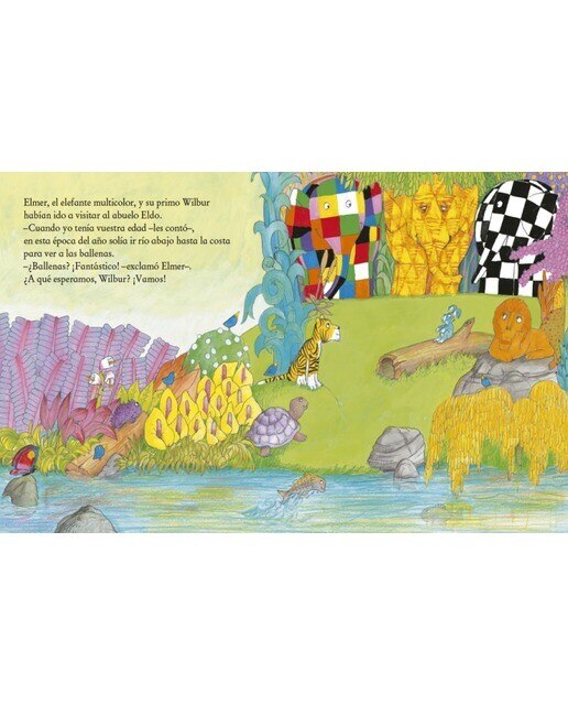 Elmer. Un cuento - Elmer y las ballenas (Capa dura) 5