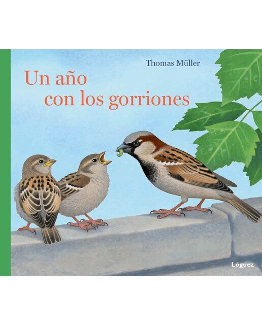 Un Año Con Los Gorriones 1