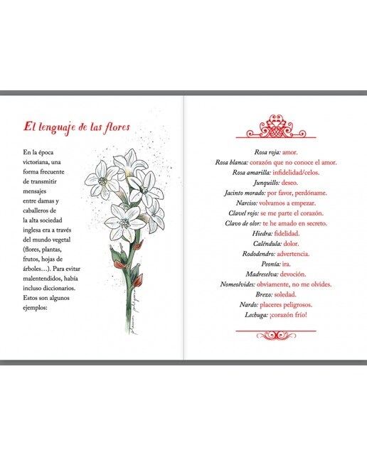 Love is in the air: El libro perfecto para amores imperfectos(Tapa blanda) 5
