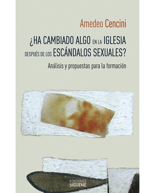 ¿Ha cambiado algo en la iglesia después de los escándalos sexuales?: Análisis y propuesta para la formación