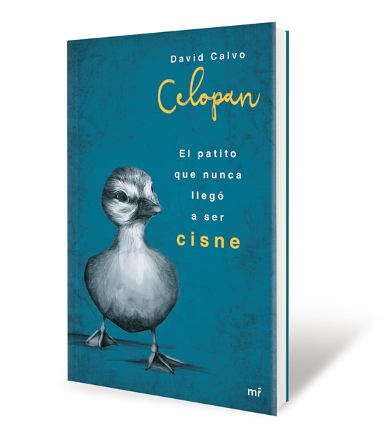 El patito que nunca llegó a ser cisne (Capa mole com abas) 3