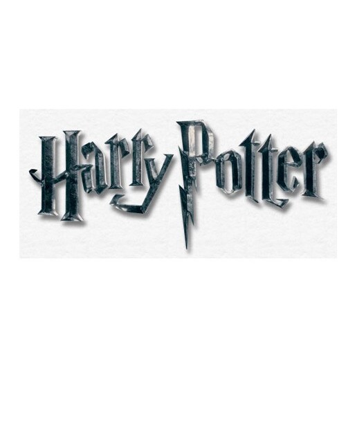 The Houses Of Hogwarts: Cinematic Guide 1