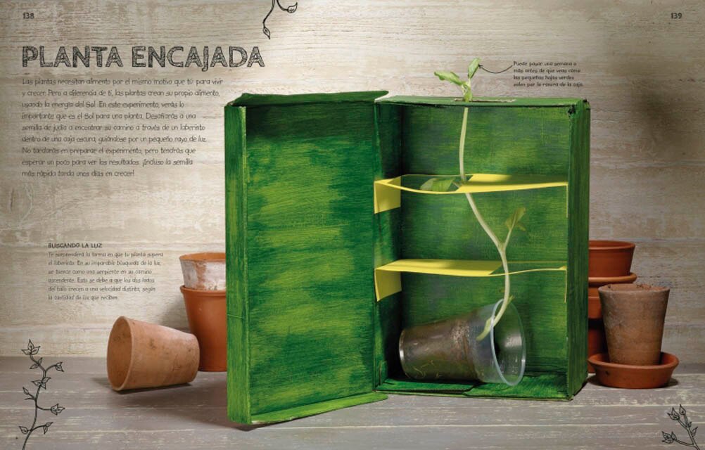 Un laboratorio en casa: Grandes experimentos para futuros científicos(Tapa dura) 4