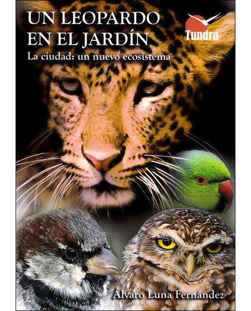 Un Leopardo En El Jardín 1