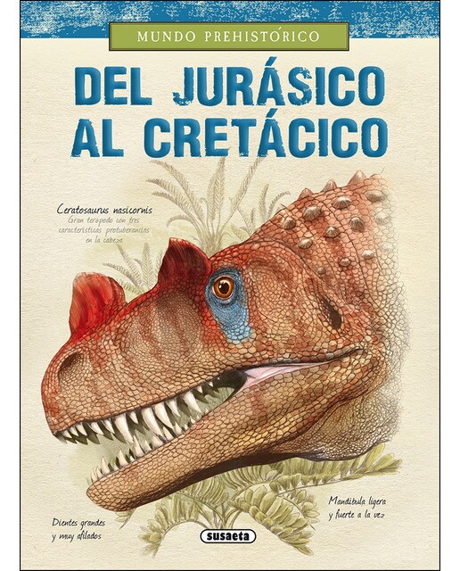 Del Jurásico al Cretácico (Capa dura) 1