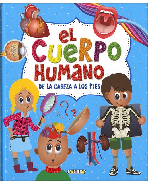El Cuerpo Humano De La Cabeza Los Pies 1