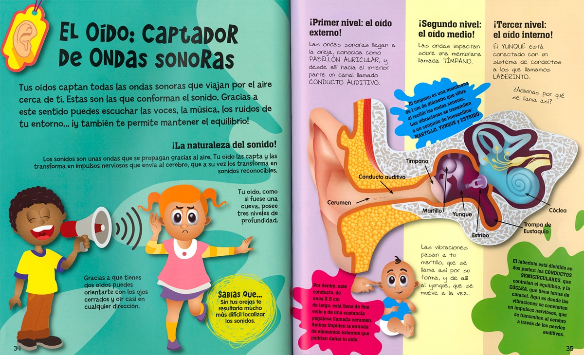 El Cuerpo Humano De La Cabeza Los Pies 2