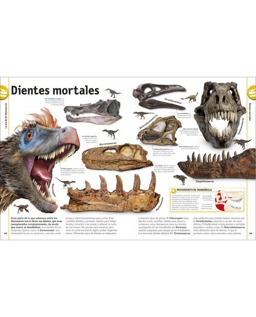 El libro de los dinosaurios (Capa dura) 2