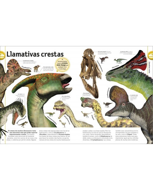 El libro de los dinosaurios (Capa dura) 4