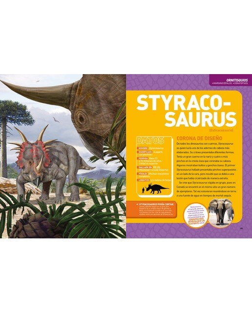 Dinopedia. La guía de dinosaurios más completa: La guía de dinosaurios más completa(Tapa dura) 2