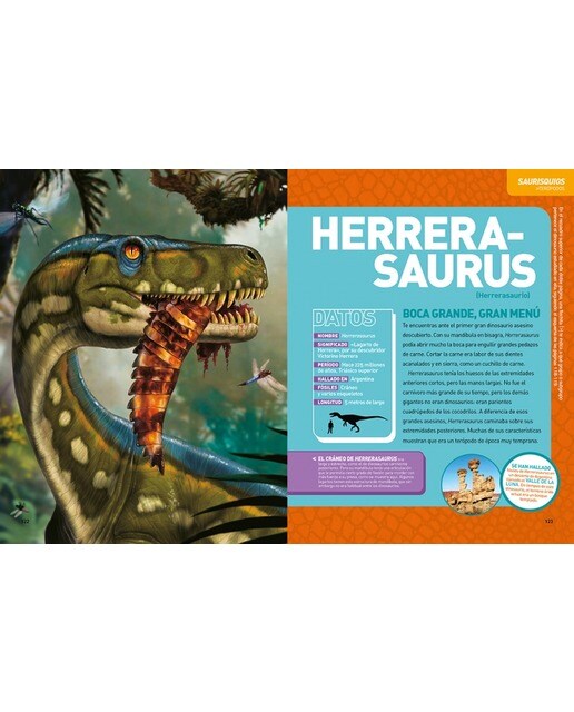 Dinopedia. La guía de dinosaurios más completa: La guía de dinosaurios más completa(Tapa dura) 4