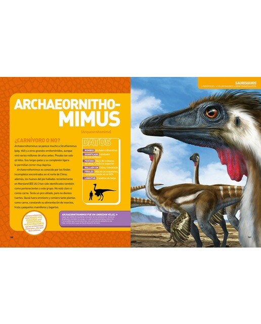 Dinopedia. La guía de dinosaurios más completa: La guía de dinosaurios más completa(Tapa dura) 6