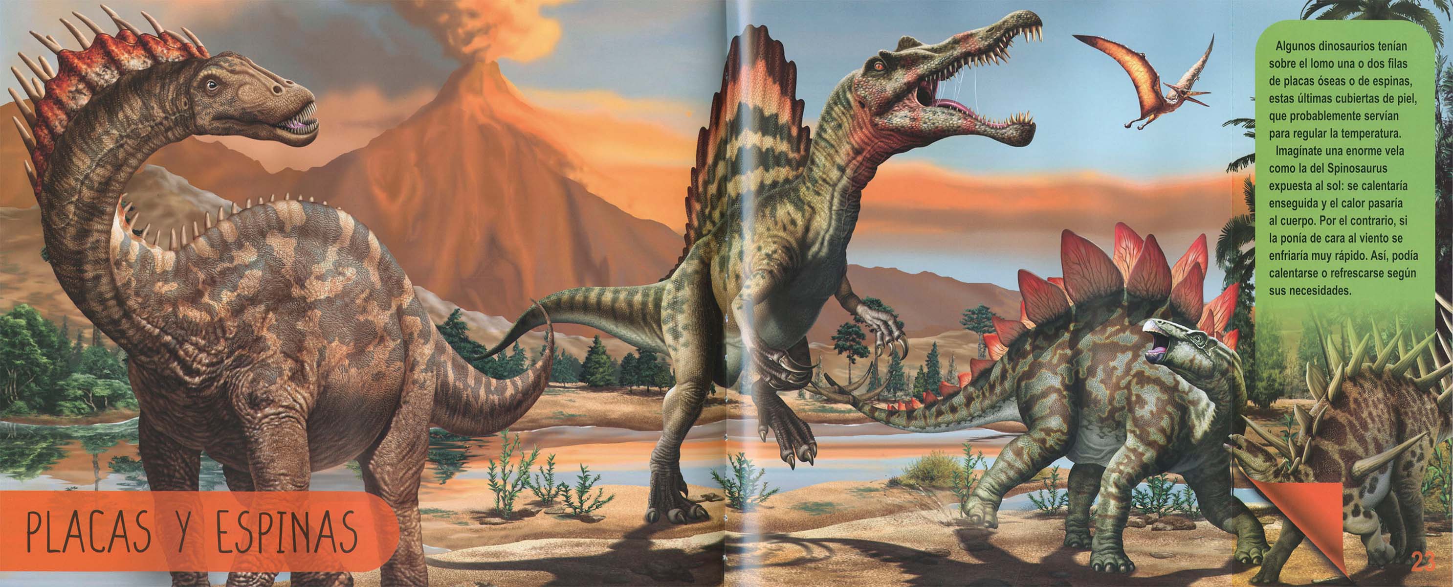 Dinosaurios del Mundo (Capa dura) 2