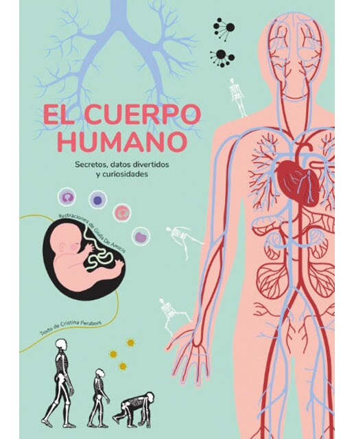 EL CUERPO HUMANO (VVKIDS) (Capa dura) 1