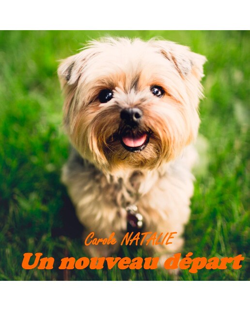 Un nouveau départ 1