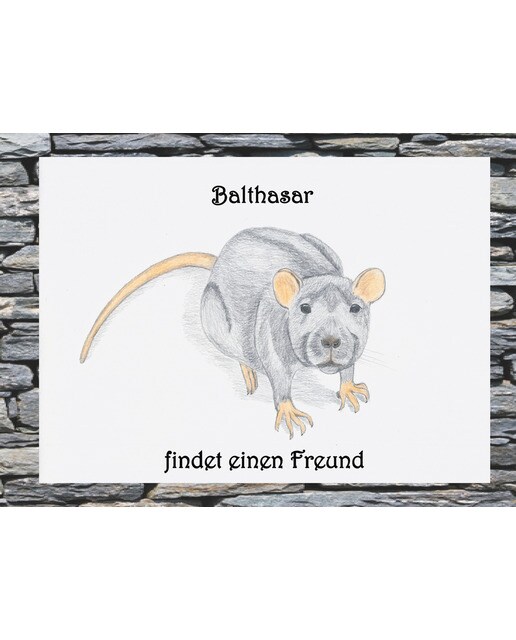 Balthasar findet einen freund(Tapa dura) 1