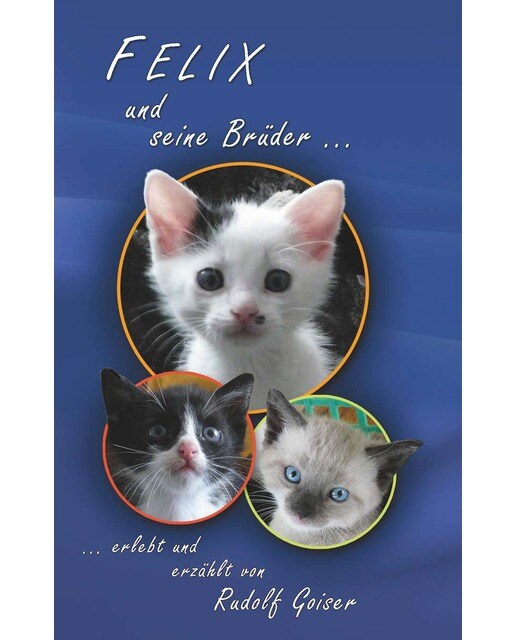 Felix und seine Brüder 1