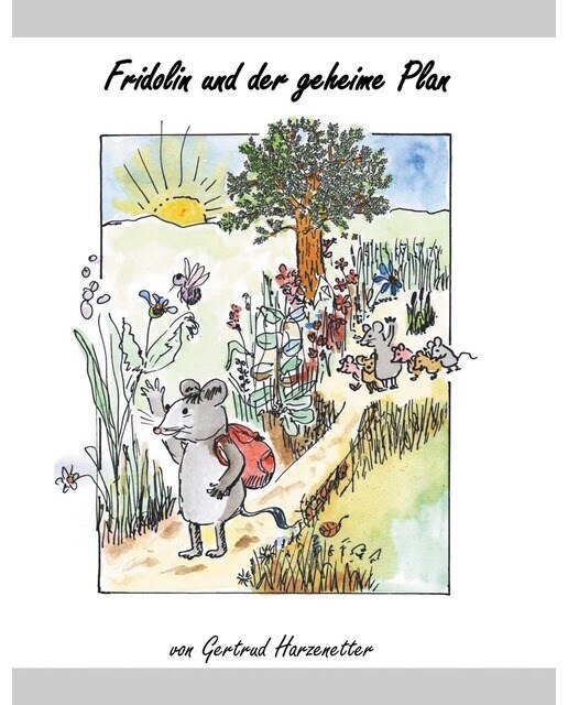 Fridolin und der geheime Plan 1