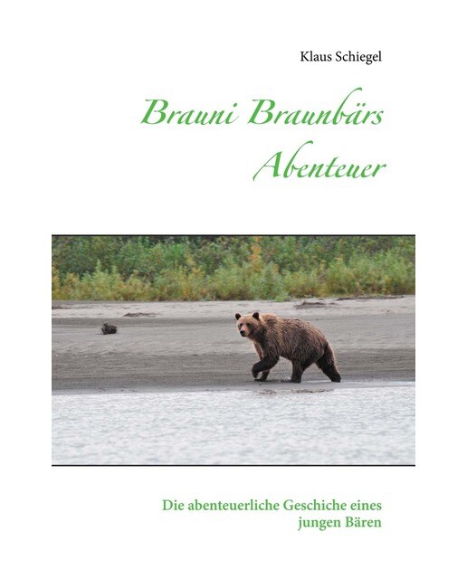 Brauni Braunbärs Abenteuer 1