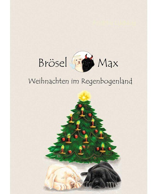 Brösel & Max: Weihnachten im Regenbogenland (Capa mole) 1