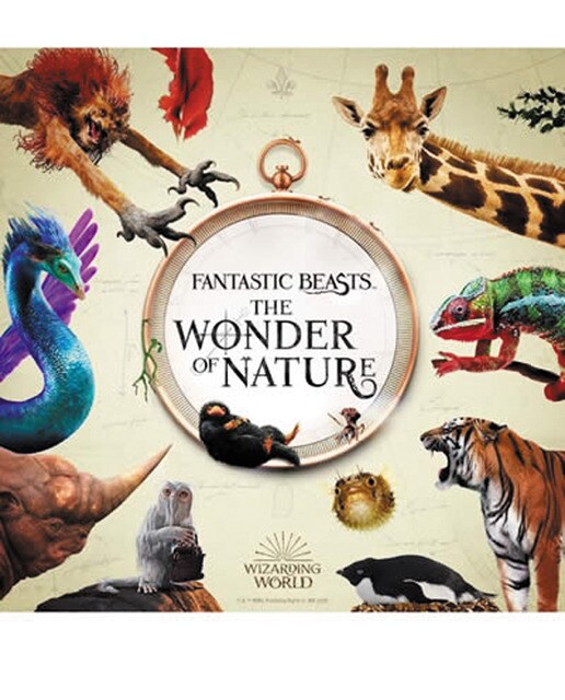 Fantastic beasts: the wonder of nature 1
