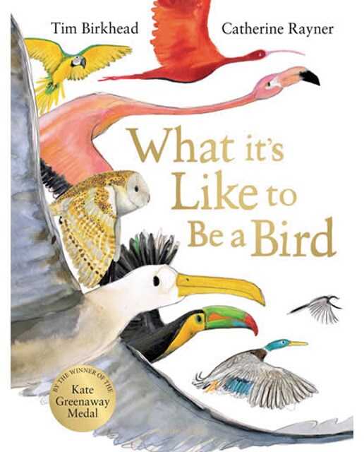 What it's like to be a bird? 1
