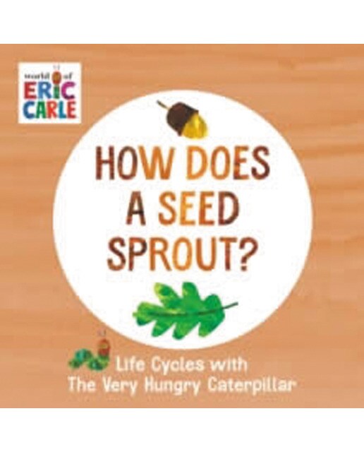 How does a seed sprout? 1