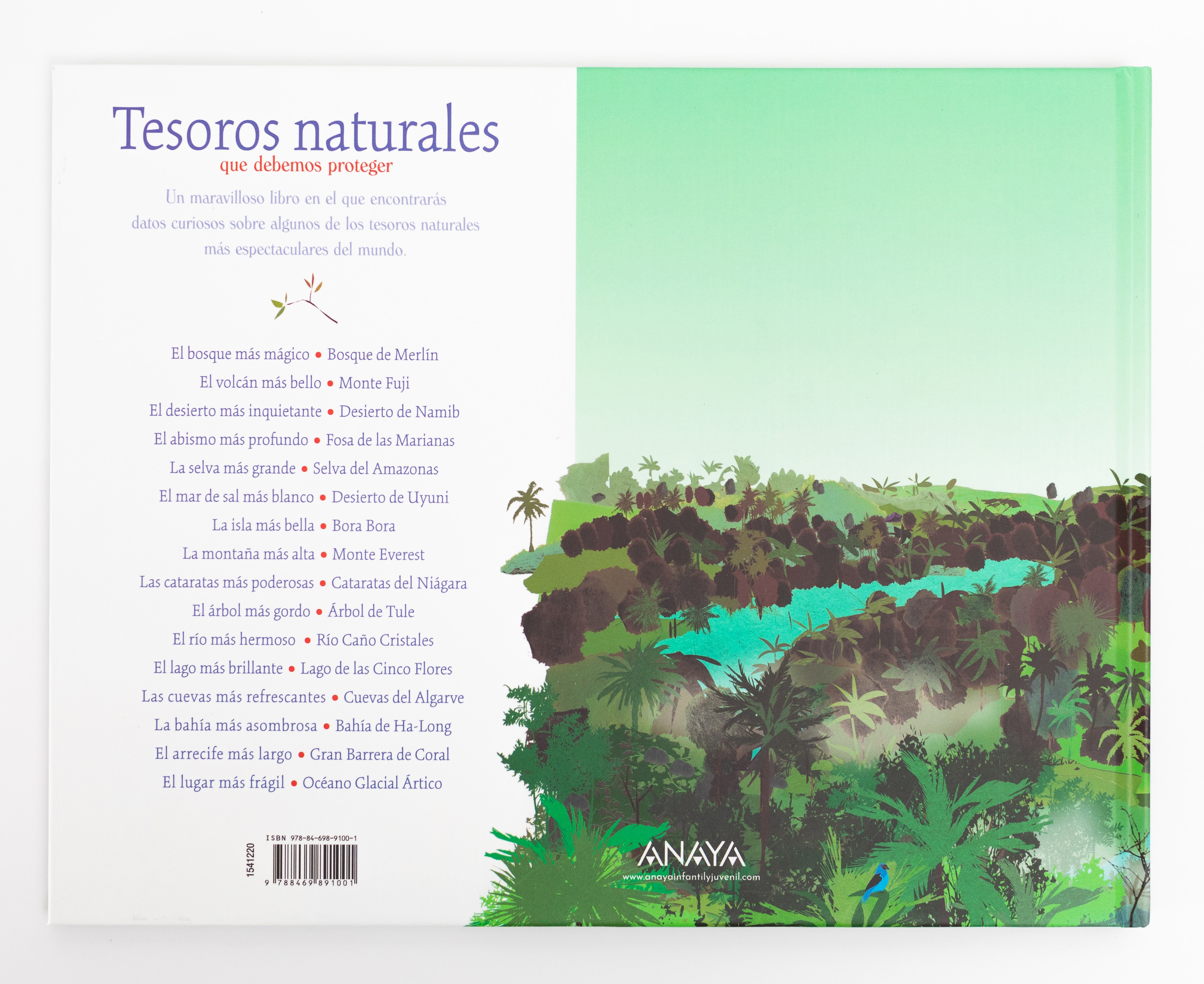 Tesoros naturales(Tapa dura) 2