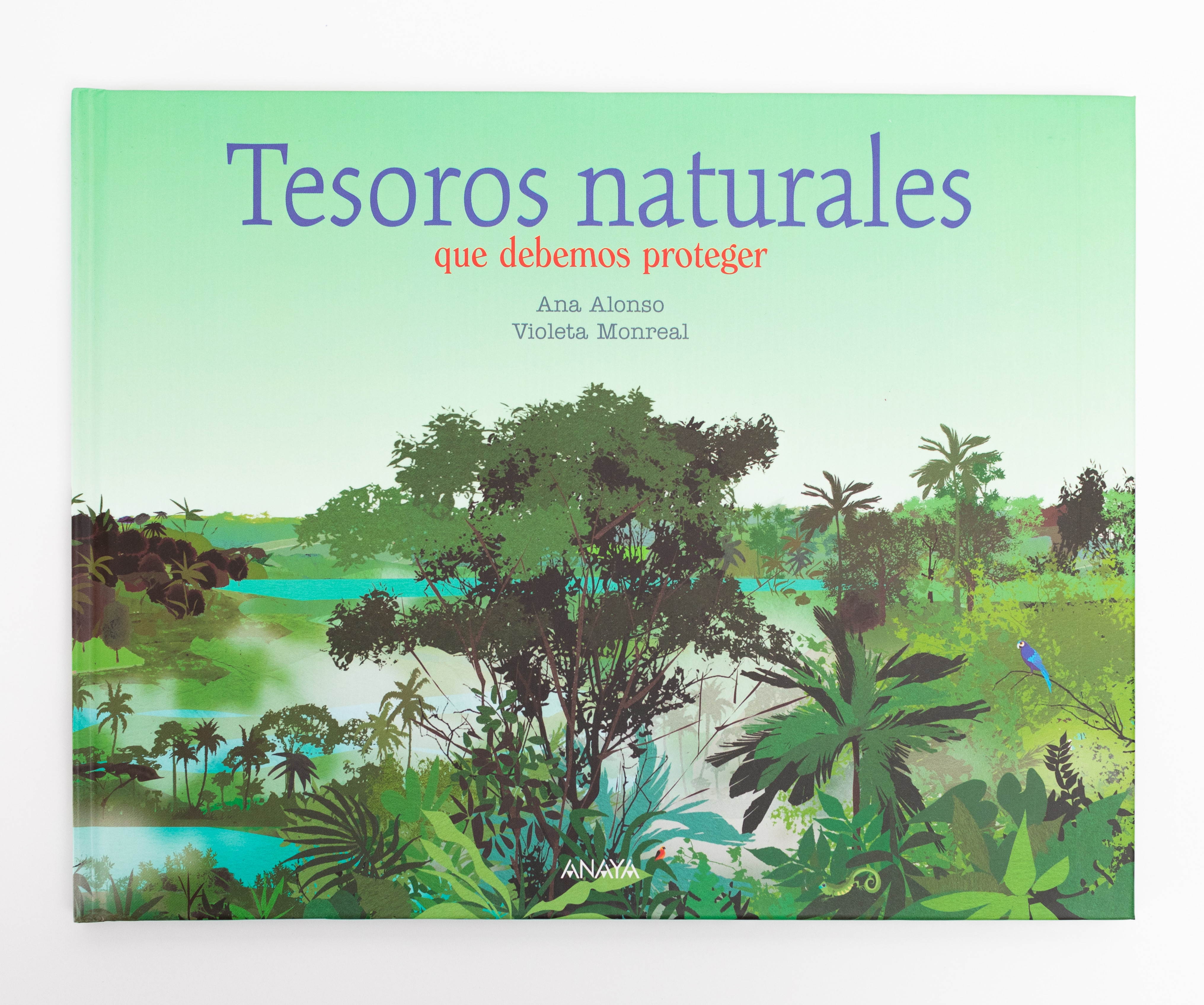 Tesoros naturales(Tapa dura) 5