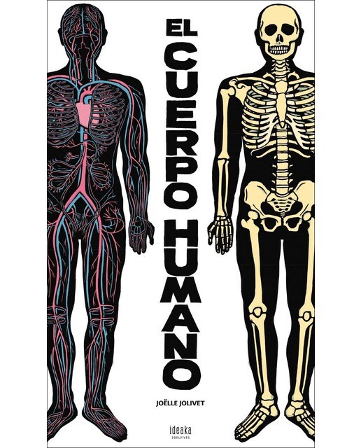 El cuerpo humano 1