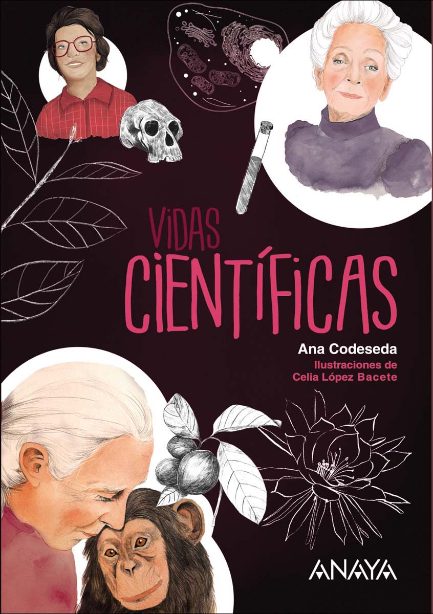 Vidas científicas (Capa mole com abas) 1
