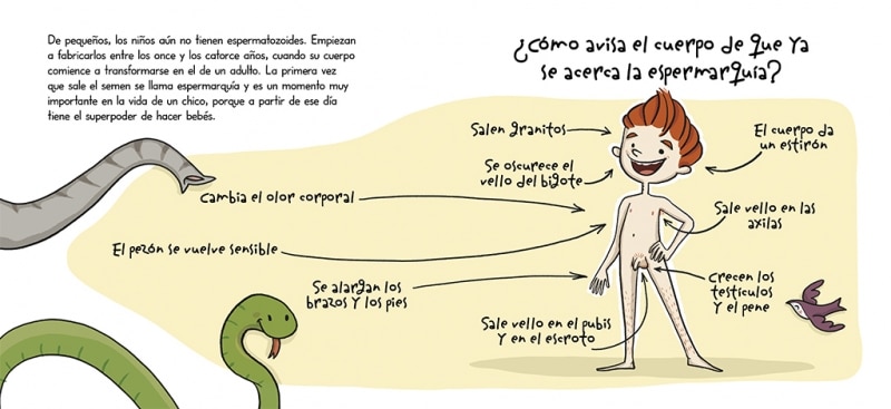 ¡Se llama pene! (mini Menstruita): Mi primer libro de educación sexual  (Tapa dura) 3